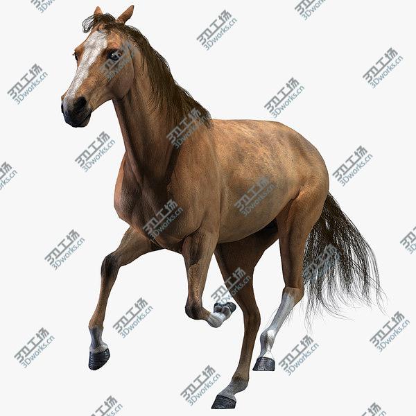 images/goods_img/20210312/3D Horse (Animated) model/1.jpg